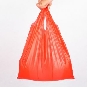 Plastic carry-on food bag