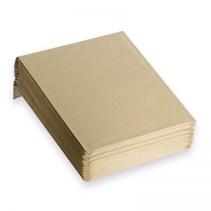 Brown paper envelope delivery bag